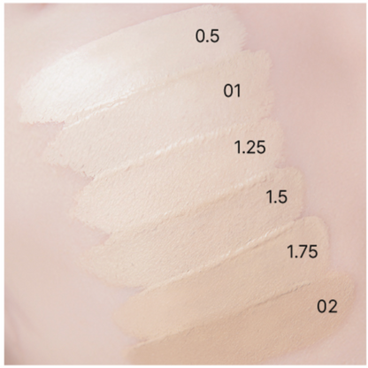 [THE SAEM] Cover Perfection Tip Concealer