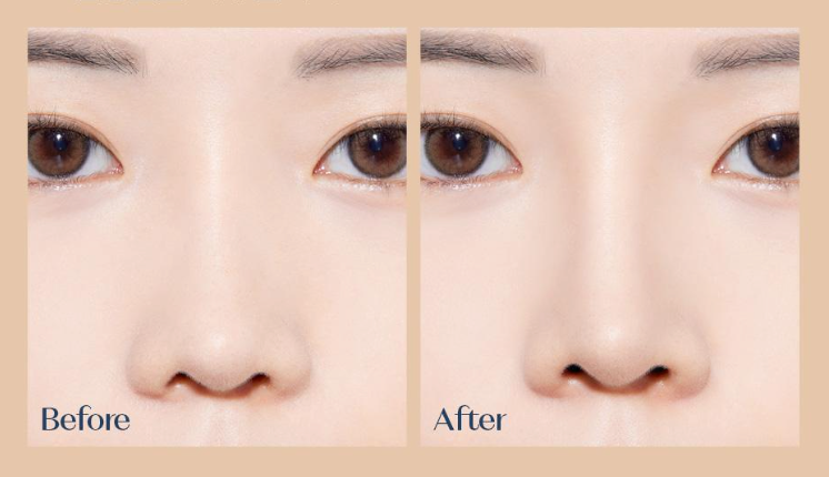 [ETUDE] Reborn Shading Stick Cool Shading