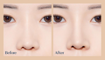 [ETUDE] Reborn Shading Stick Cool Shading
